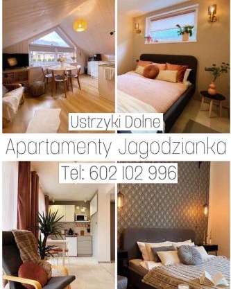 Apartamenty Jagodzianka - Jacuzzi, Sauna, Tężnia solankowa