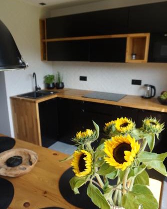 APARTAMENTY JEDYNE TAKIE.