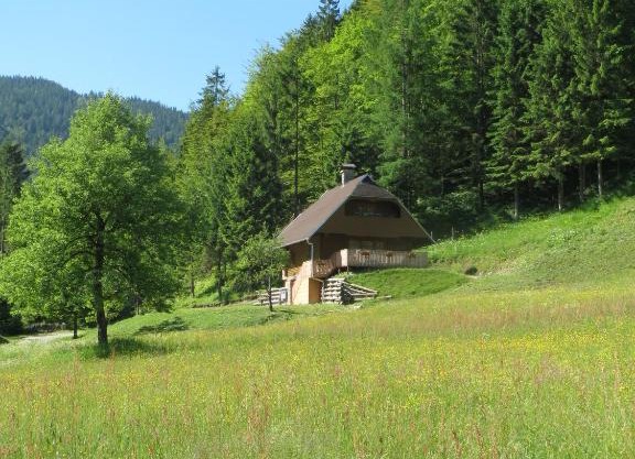 Apartmaji Brložnica pod Veliko planino