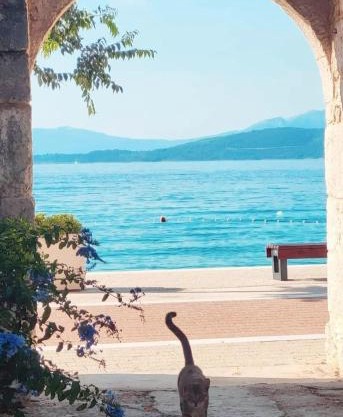 Apartman Andrea