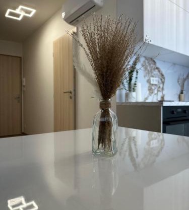 Apartman Nitra