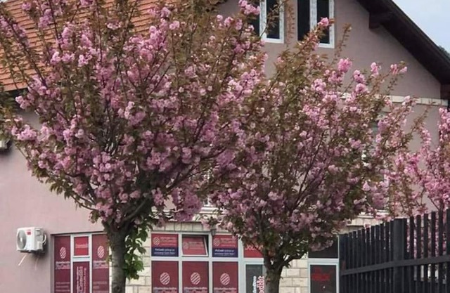 Apartman Poljčić Višegrad