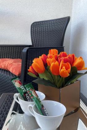 Apartman Venera