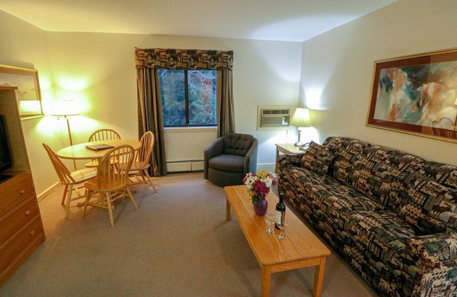 Apartment ∙ 1 bedroom ∙ 2 guests