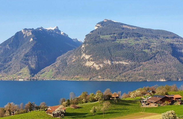 Panoramaferienwohnung Waldkircher 