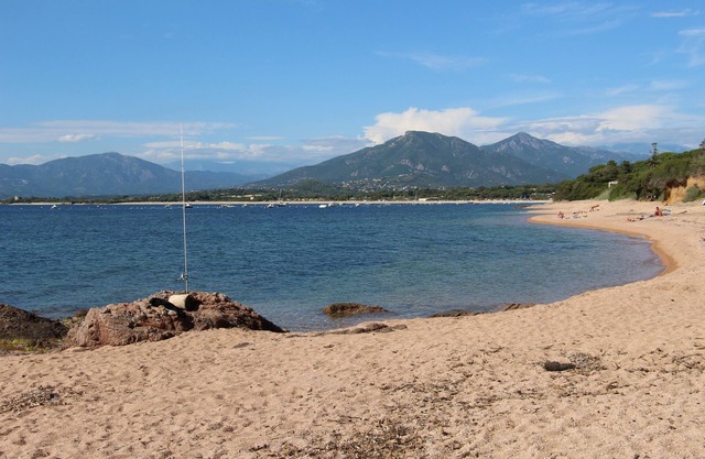 APARTMENT 100 M FROM THE BEACH