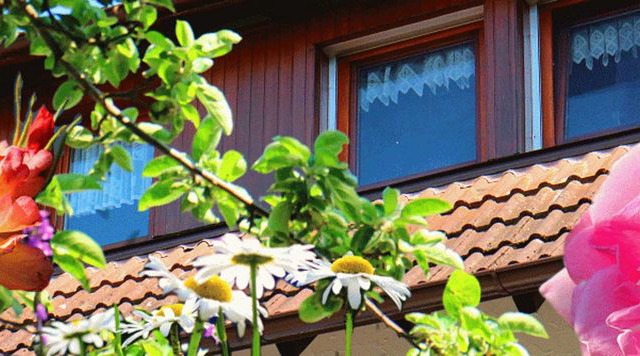 Apartment 2 26 sqm - holiday island on the Dreisam