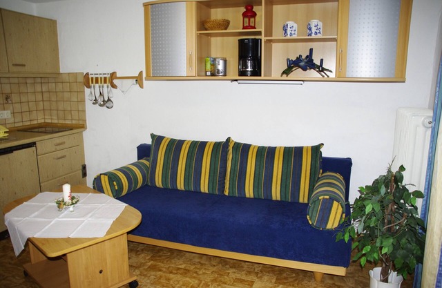 Apartment 38sqm, balcony, kitchenette, 1 bedroom, WLAN, no pets