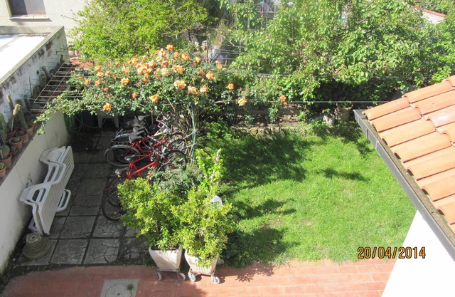 Apartment #4, 500 meters from the sea and the Cecina pine forest