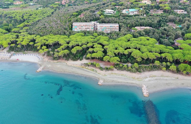Apartment a few meters from the beach, surrounded by greenery