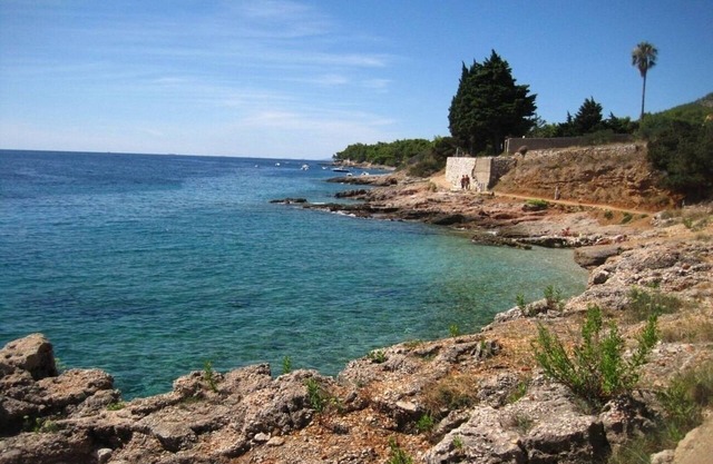 Apartment Ana - sea view; A1(2+1) - Zavala, Island Hvar, Croatia