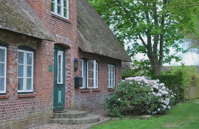 Apartment / app. for 4 guests with 60m² in Alkersum (109485)