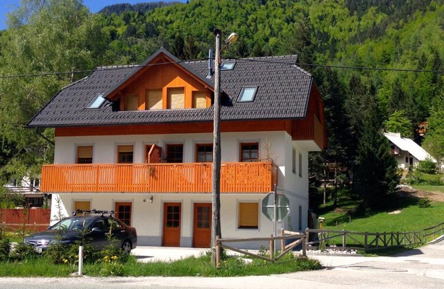 Apartment Brina