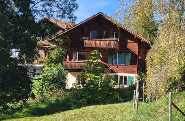 Wildbach 