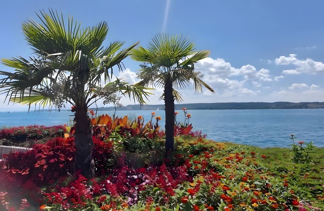 Apartment 'Directly On The Überlingen' with Lake View and Wi-Fi