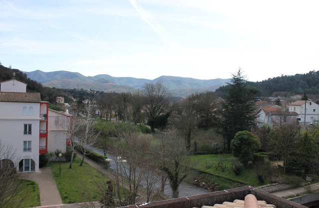 apartment/flat - Lamalou les Bains