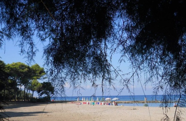 Apartment/ flat - Gallipoli