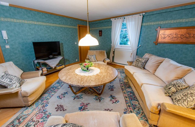 Apartment Grüner Salon with Wi-Fi close to the center