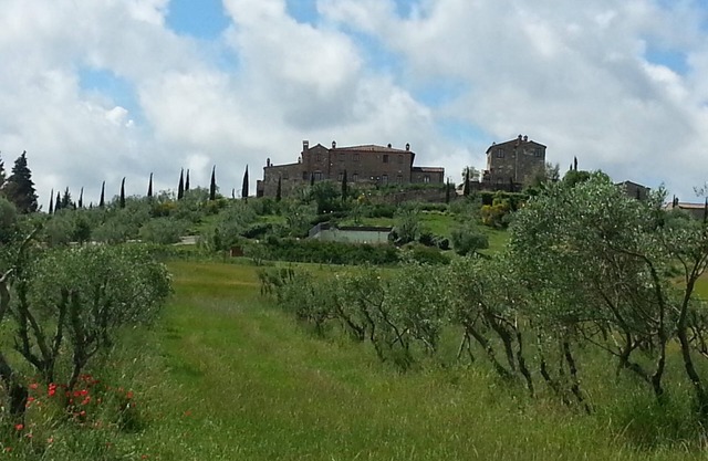 Apartment in an old monastery fully renovated, located in a vast park.