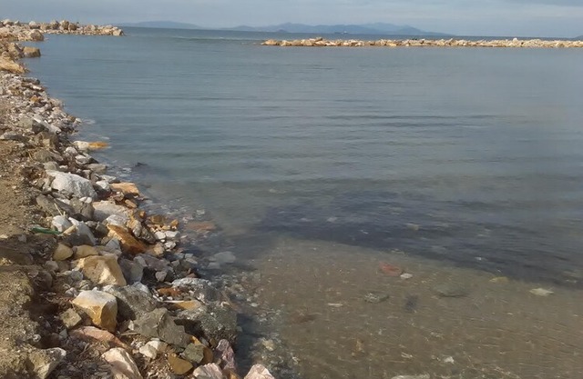 APARTMENT IN THE CENTER OF FOLLONICA, NEAR THE SEA REACHABLE ON FOOT