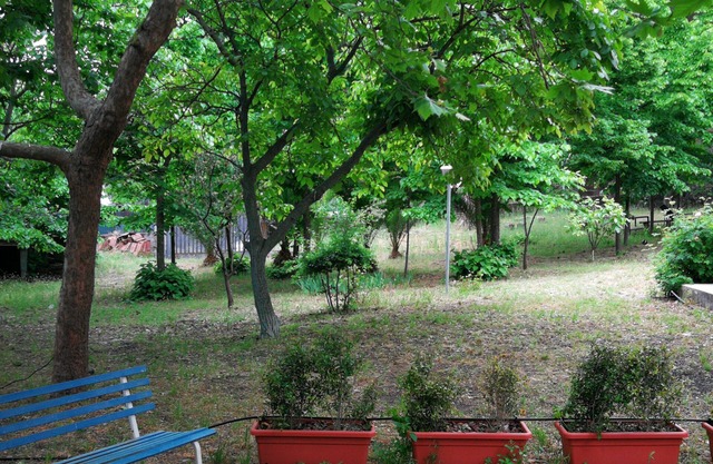 Apartment in villa with large park in the main street of Nicolosi