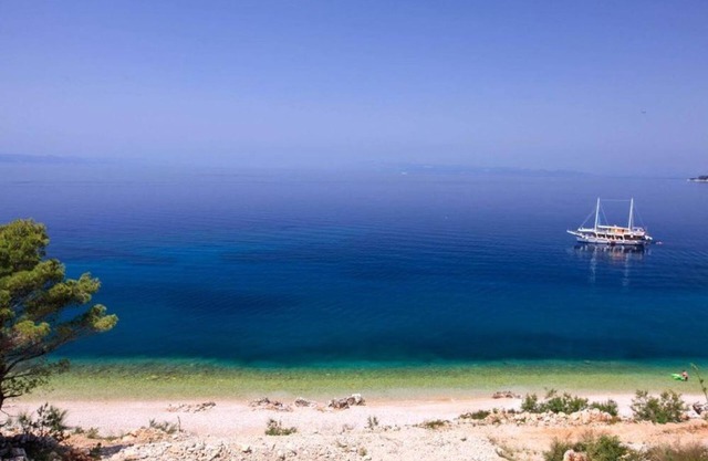 Apartment Ivi - 100 m from pebble beach: A3(2+2) - Drasnice, Riviera Makarska, Croatia