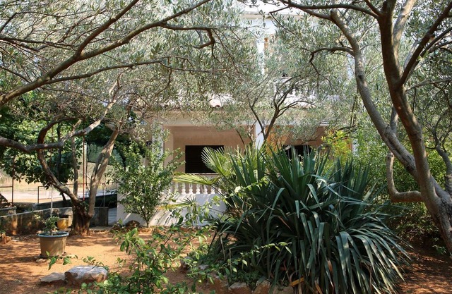 Apartment Ivo A1 Vrgada (Island Vrgada), Riviera Biograd