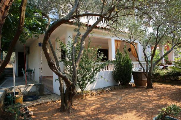 Apartment Ivo - relaxing & comfortable: A1 Vrgada (Island Vrgada), Riviera Biograd