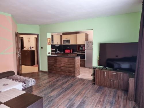 Apartment Lozenets
