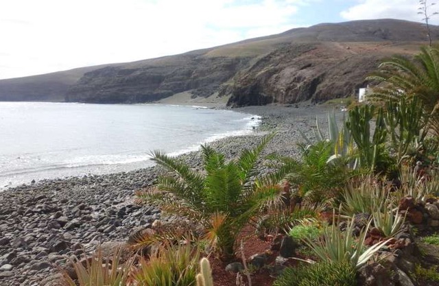 Apartment LUCICHO in Playa Quemada for 4 persons with terrace, views to the ocean, views of the volcanoes, WIFI and less than 10m to the sea