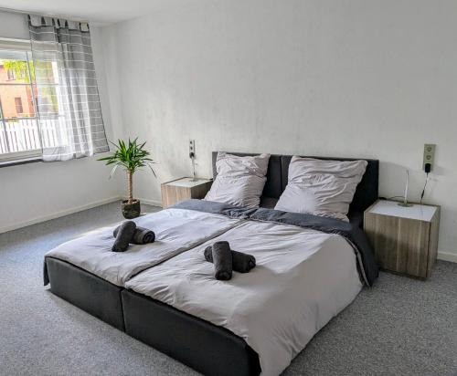 Apartment mit eigenem Eingang und eigener Terrasse