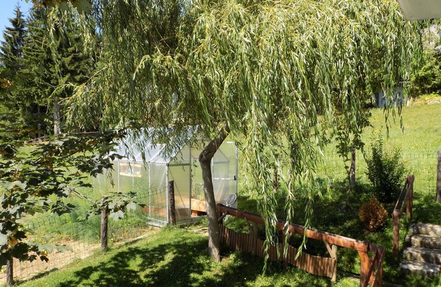 Apartment Panorama