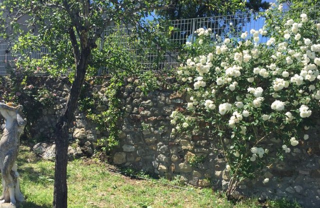 Apartment Podere L'Orsinghi App. A in Ravi - 2 persons, 1 bedrooms