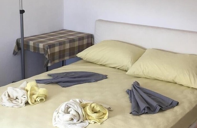 Apartment Rina - with pool : A6(3+2) - Stomorska, Island Solta, Croatia