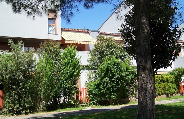 Apartment San Vincenzo, sea and pinewood