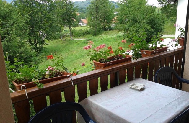 Apartment Smoljanac 14603a