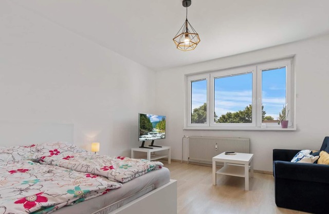 Apartment w Netflix, Coffee or Tea & Parking