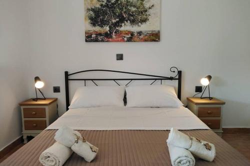 Apartment with private pool for rent in Tzanata Kefalonia
