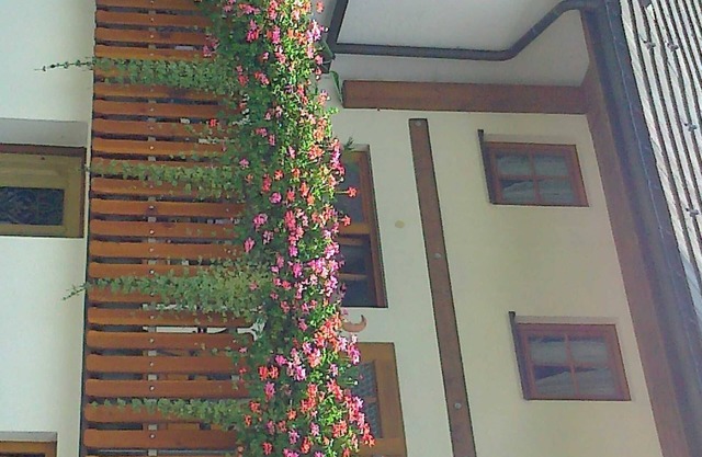 Haus Rosenhof 