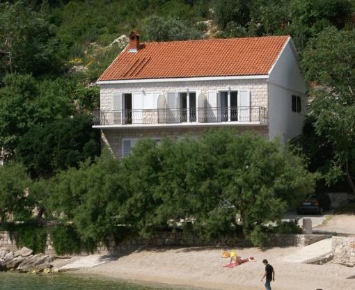 Trstenik 