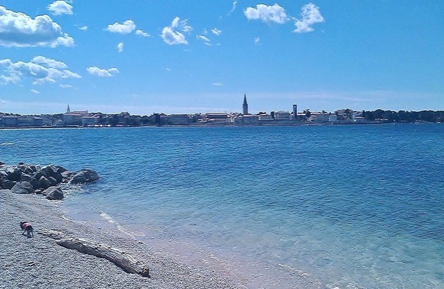 Apartments Marko, (14296), Porec, hr