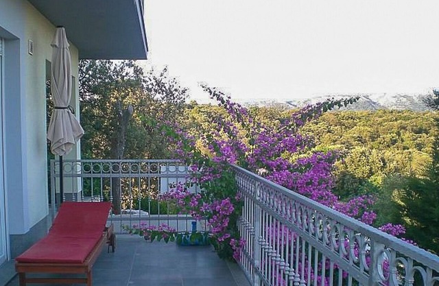 Apartments Tanja (95511-A1) - Kampor - island Rab