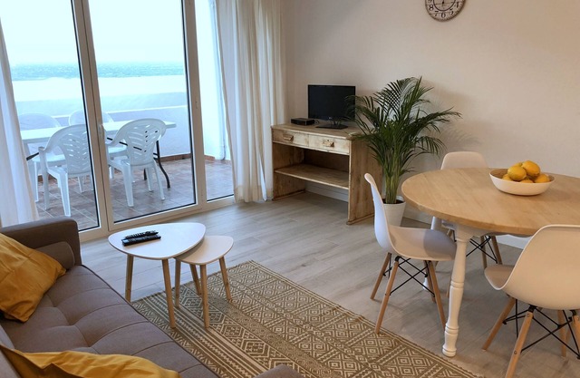 Palmera 