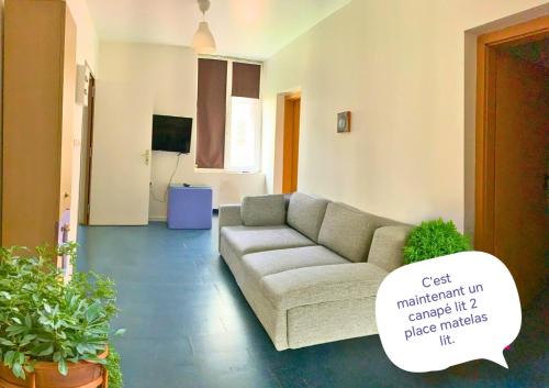 appartement 1 chambre