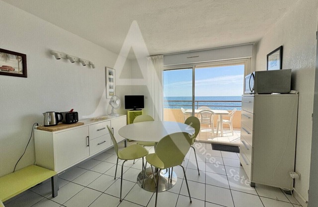 APPARTEMENT 1 CHAMBRE TERRASSE 1ERE LIGNE MER