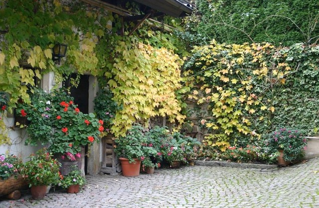 Appartement A3, 26qm, 1 Wohn-/Schlafzimmer, max. 2 Personen
