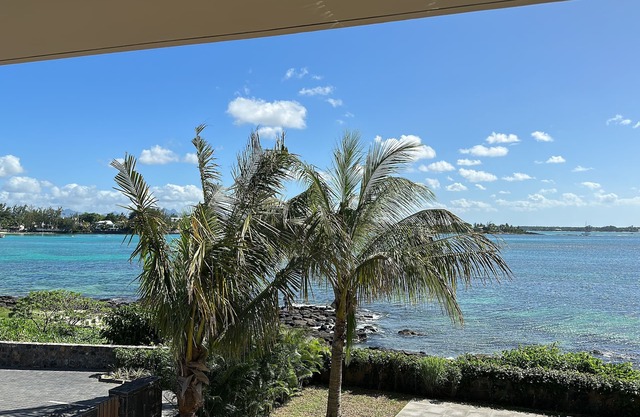 Appartement Pieds Dans Leau