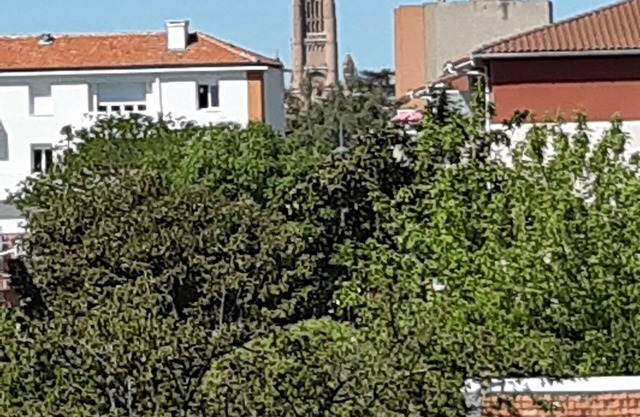 Appartement T1 a 1km a Pied du Centre Ville d' Albi Pour 2 Personnes