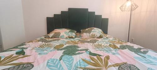 Appartement T2 style tropical tout confort CENTRE VILLE