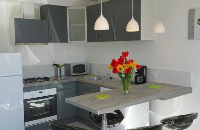 Appartement T3 en Centre-Ville de La Roche-Posay avec Terrasse, Piscine et Parking - FR-1-541-75